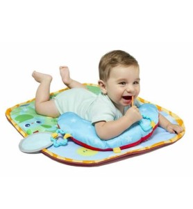 ALMOHADA Y ALFOMBRA...